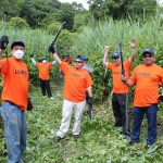 Local 79 members clear brush on a trail by Willow Lake