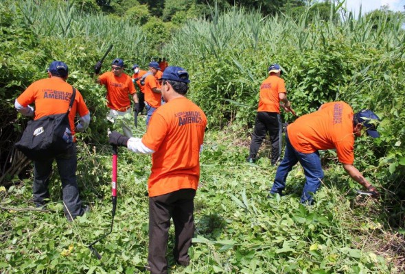 Local 79 Volunteers Clean Up Parks